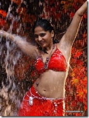 Hot South Actress Anushka Shetty (28)