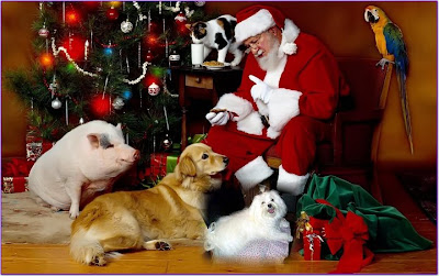 Santa Claus con perros