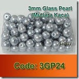 3GP24 copy