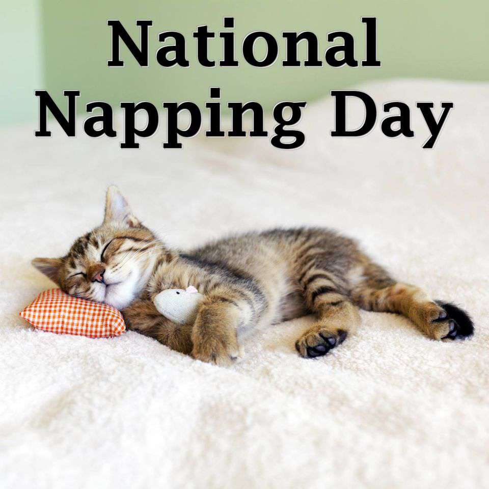 National Napping Day Wishes for Whatsapp