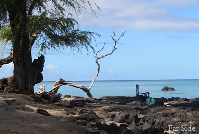 Anaehoomalu Bay