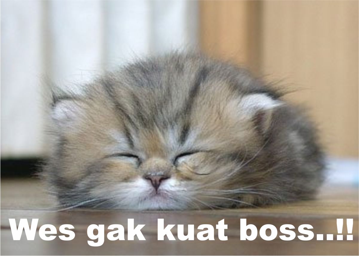 Foto Meme Lucu Ngantuk DP BBM Jomblo