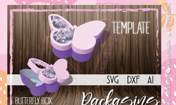 3D Butterfly Box