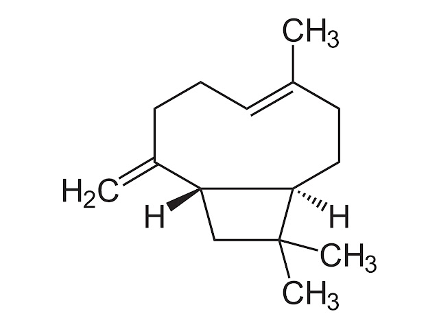 Composto Química - Cariofileno