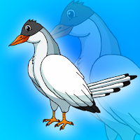 Play Games2Jolly Arctic Tern Rescue