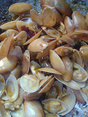 Siput Goreng Masak Tiram