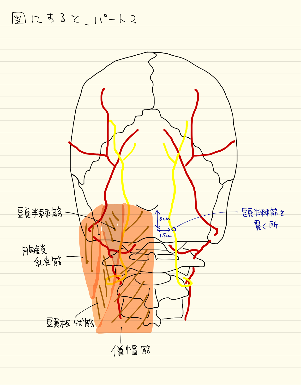 Dr Note いつも心に 後頭神経痛