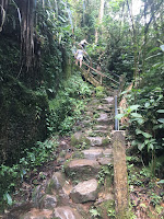 Parque Nacional do Itatiaia