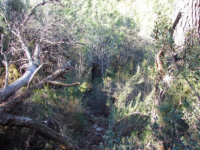 senderismo - Fanzara - Cueva de la Muela - Las Picorzas - Turio
