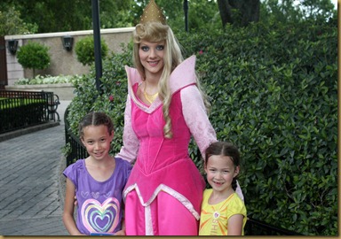 IMG_0390 IMG_0390