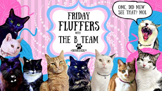 Friday Fluffers withThe B Team ©BionicBasil®