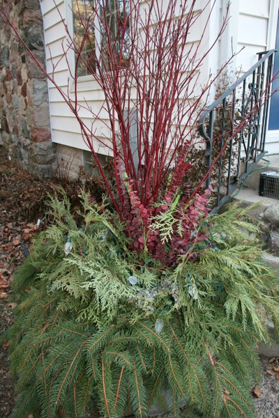 Xmasoutside1