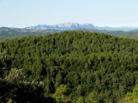 Montserrat des del camí del Girbau