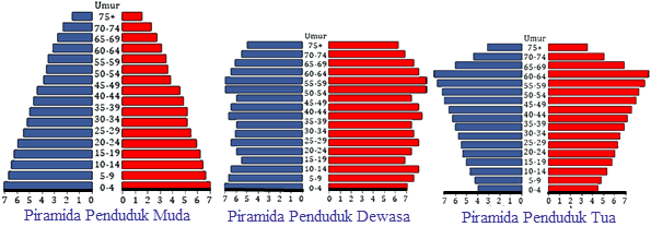 piramida penduduk