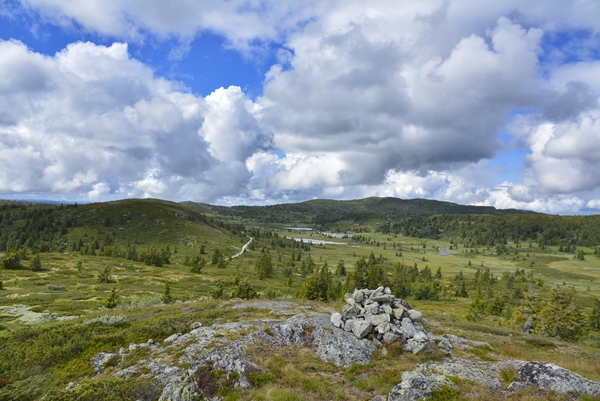 Buvasstølan Vardefjell stolpejakt