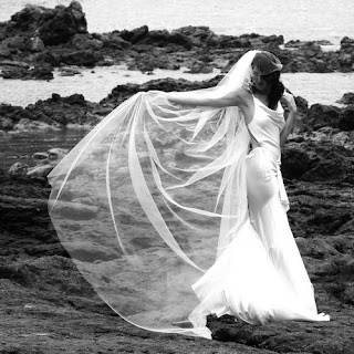 wedding_ideas_flowing_birdcage_veil