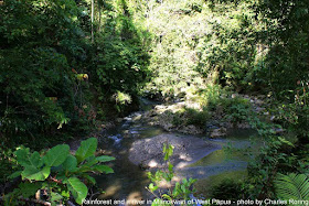 Hiking and wildlife watching in West Papua