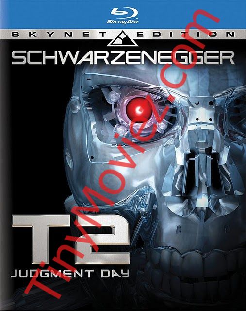 judgment day terminator. [Terminator 2 Judgment Day]