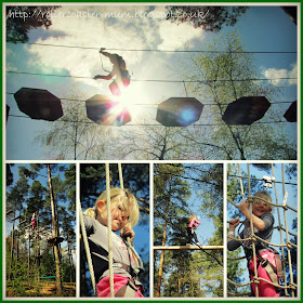 Go Ape Tree Top Junior, Alice Holt Forest