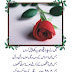 Eid Love Shayari In Urdu