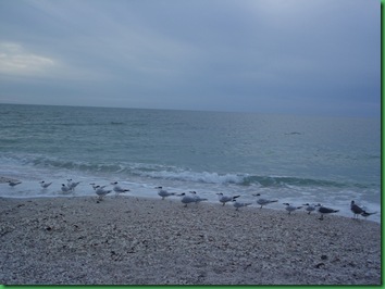 Caspersen Beach 090