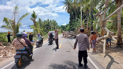 Gerak Cepat Anggota Polsek Ujung Loe, Tangani Kemacetan Akibat Pohon Tumbang