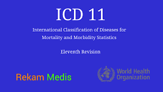 Apa itu ICD-11?