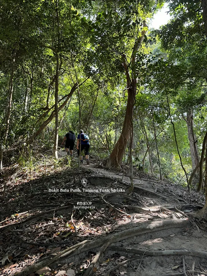 Bukit Batu Putih Tanjung Tuan Melaka