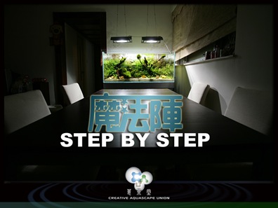 Magic stage