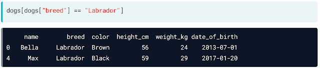 Data Manipulation with Pandas