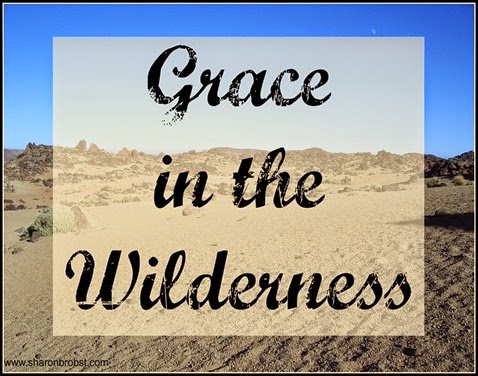 wildernessgrace