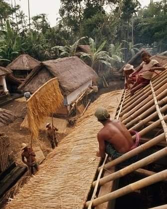 Gotong royong membangun rumah di Desa Bedulu