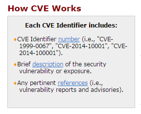 CVE Works