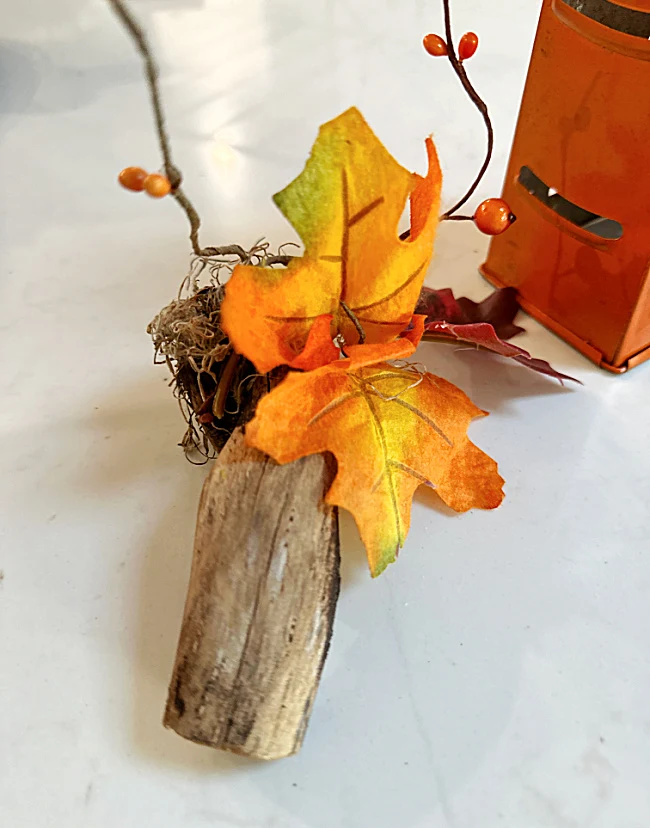 stem with fall leaves