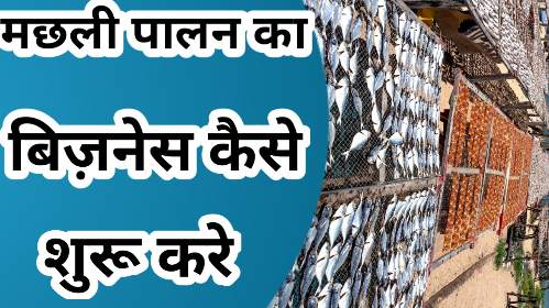 Fish farming business plan in hindi