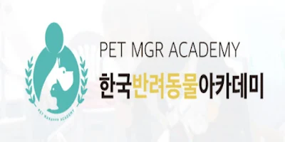 국가 지원 시스템 및 정책 현황