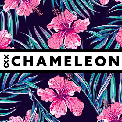 XY&O Unveil New Single 'Chameleon'