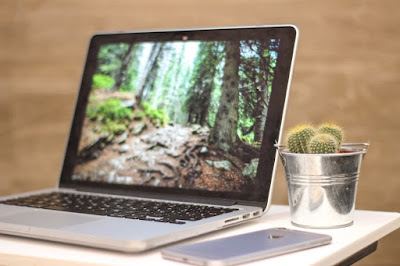 Un laptop, un cactus și un smartphone - foto de Diogo Ascenso - unsplash.com