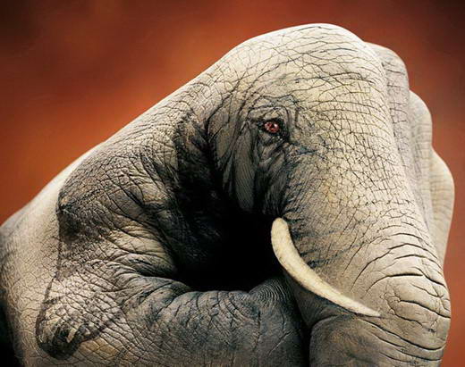 Keren, Seni Lukis Pada Tangan Karya Guido Daniele