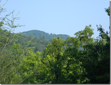 DSCN4482