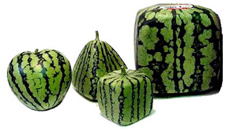kinds shape of watermelon