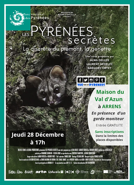 Pyrénées secrètes : La discrète du piémont à Arrens Marsous