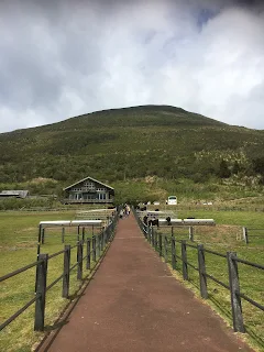 八丈島ふれあい牧場