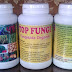 Fungisida adalah, fungisida organik, fungisida sistemik, jual Trichoderma di jogja, jakarta, bandung