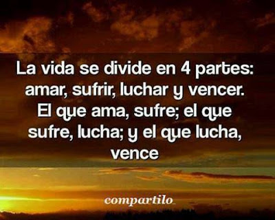 La vida se divide en 4 partes