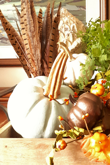 Fall Vignettes