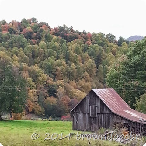 2014 Oct 12 autumn color 1