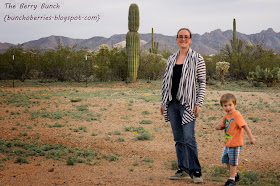 The Berry Bunch: Rabbit Rabbit Creations; Sunset Infinity Scarf Cardigan Pattern Test & Review