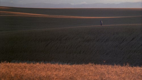 Días del cielo 1978 online castellano gratis