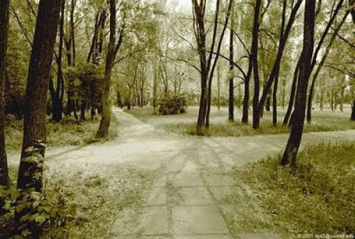 Cruces De Caminos